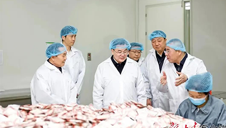 甘肃省委书记胡昌升莅临伟德体育健康集团佛仁制药考察调研