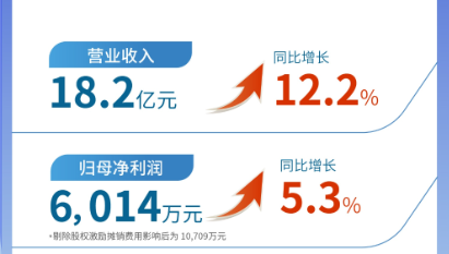 伟德体育（002219）发布2024年半年报：营业收入及扣非归母净利润均实现双位数增长