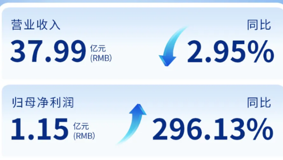 伟德体育（002219）发布2024年年度报告：归母净利润增长296%