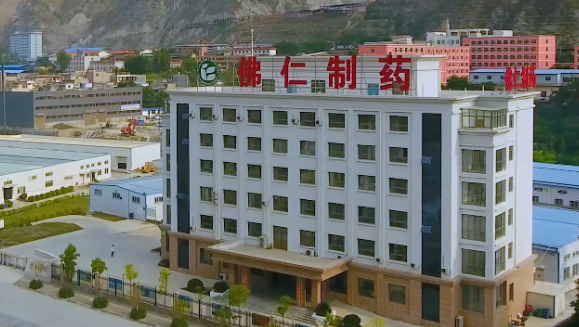 甘肃省副省长葛建团莅临伟德体育（002219）旗下佛仁制药考察调研
